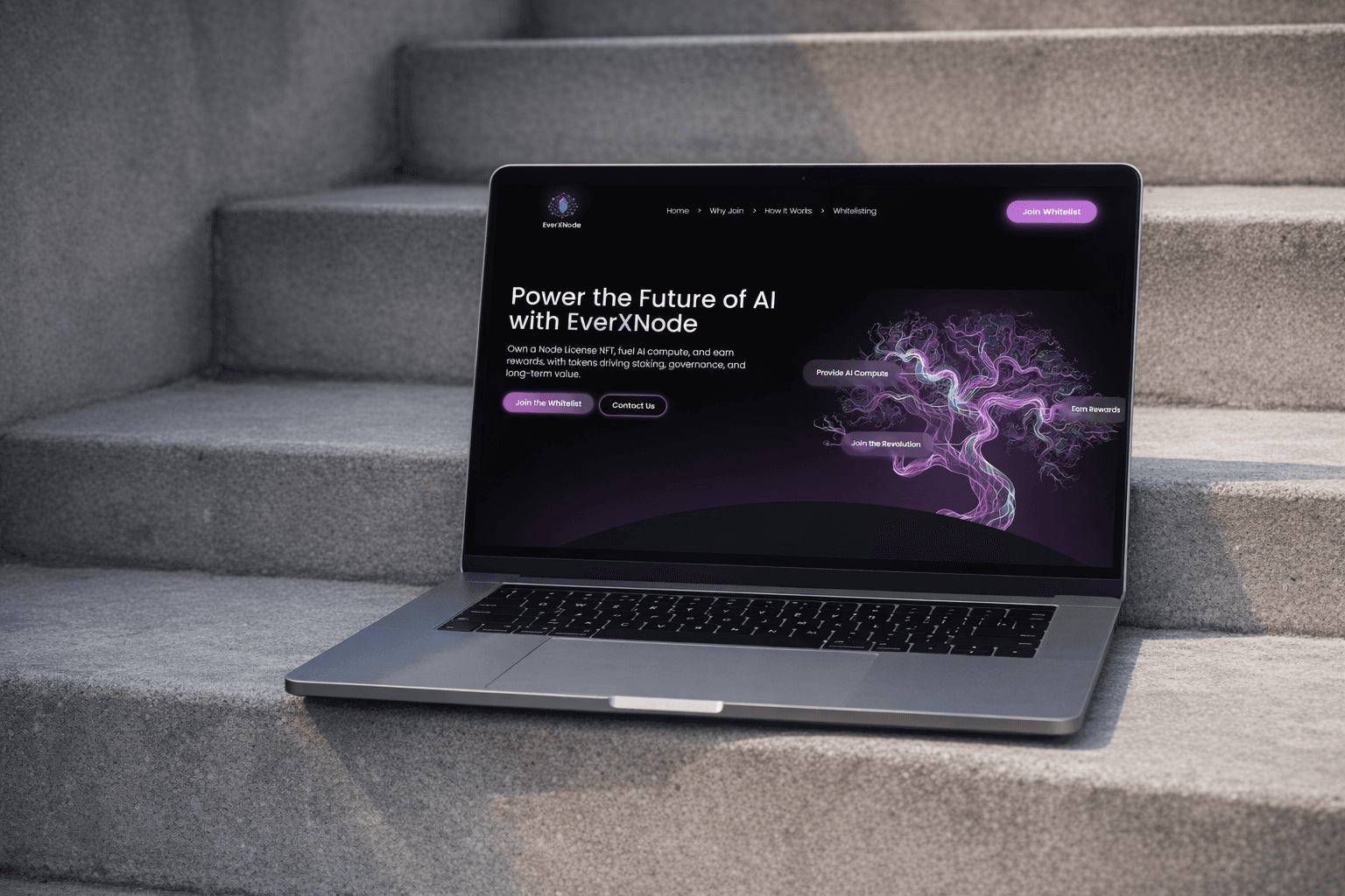 EverXNode project preview